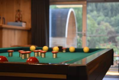 La table de billard avec vue sur le bar en bois, le sauna et la belle nature.
